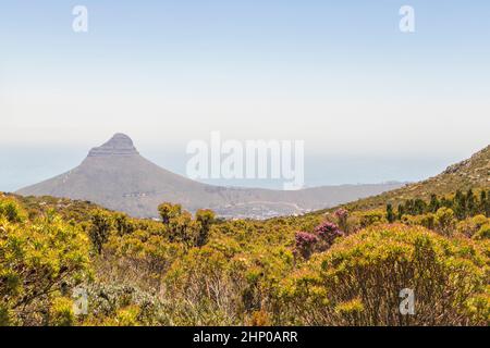 Vue depuis la montagne de la Table sur la tête de lion à Cape Town, Afrique du Sud. Banque D'Images