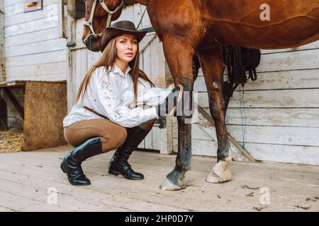 Magnifique cheval femme équestrienne en chapeau. Toilettage, soin de la jambe. Préparation de la conduite Banque D'Images