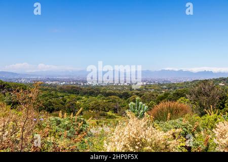 Vue panoramique sur le Cap et la nature dans le jardin botanique national de Kirstenbosch, Afrique du Sud. Banque D'Images