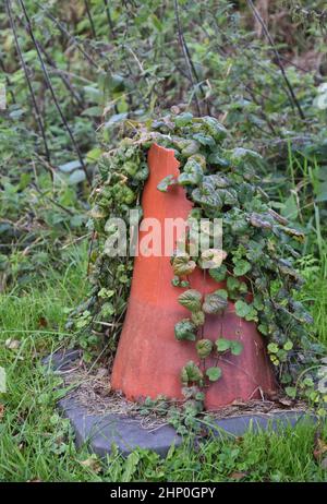 cône de trafic abandonné entouré de mauvaises herbes, angleterre Banque D'Images