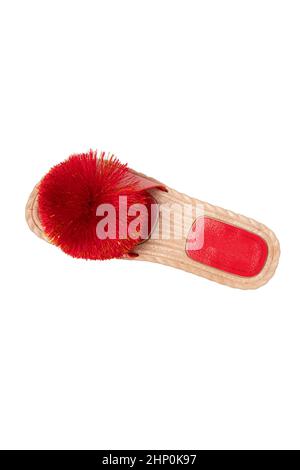 Chaussures et bottes pour Femme.Vue de dessus d'un seul slipper féminin avec pompons rouges isolés sur un fond blanc.La mode des sandales. Banque D'Images