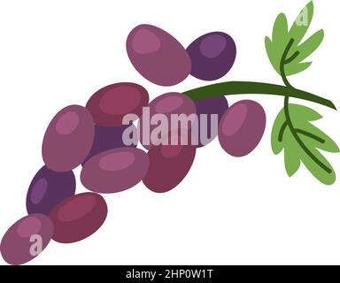 Icône raisins. Bouquet de fruits tiré à la main avec des feuilles vertes Illustration de Vecteur