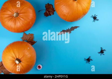 Composition de la décoration d'halloween avec citrouilles et chauves-souris avec espace de copie sur fond bleu Banque D'Images