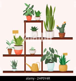 Stand de plante en bois avec différentes plantes d'intérieur Illustration de Vecteur