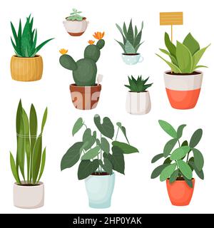 Ensemble de différentes plantes vertes dans des pots Illustration de Vecteur