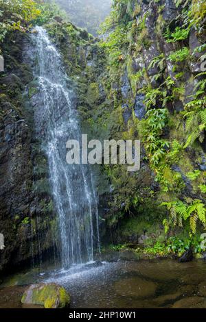 Cascades et falaises des Açores sur l'île de Flores. Portugal. Banque D'Images