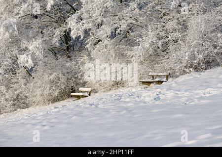 Deux bancs de parc au bord de la forêt avec une épaisse couverture de neige. Banque D'Images