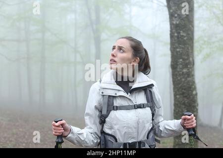 Un randonneur inquiet qui cherche à se promener dans une forêt brumeuse seule Banque D'Images