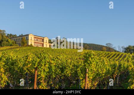 Vue sur les vignobles de la Villa Ludwigshoehe près d'Edenkoben, Rhénanie-Palatinat, Allemagne Banque D'Images