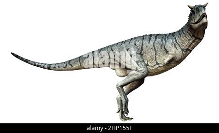 Rendu 3D d'un dinosaure Carnotaurus Sastrei ou d'une alimentation en chair bull isolé sur fond blanc Banque D'Images