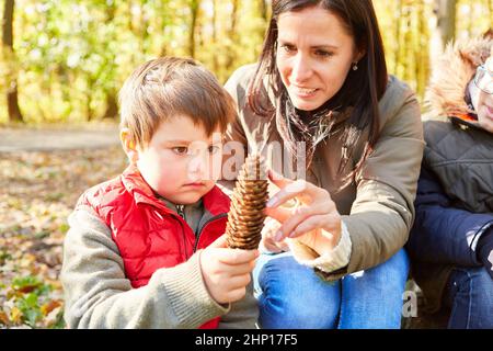 Enseignante et enfant avec un cône de pin pendant la classe d'identification des arbres dans la forêt Banque D'Images