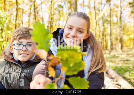 Centre de garde de jour de forêt heureux les enfants avec une feuille de chêne apprennent la science des arbres dans l'éducation forestière Banque D'Images