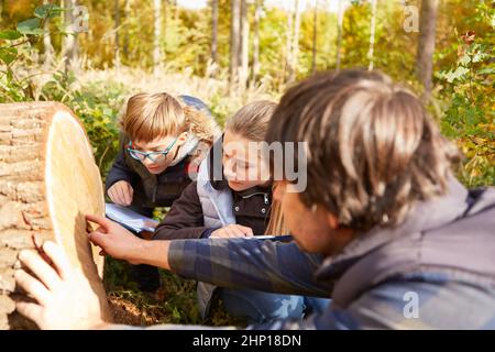 Förster montre les anneaux annuels de la classe scolaire sur le tronc d'arbre lors d'une visite de la forêt dans la forêt Banque D'Images