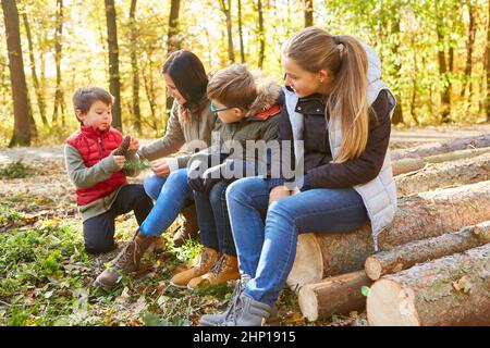 Professeur et groupe d'enfants dans la forêt à la science des arbres comme éducation forestière avec des cônes de pin Banque D'Images