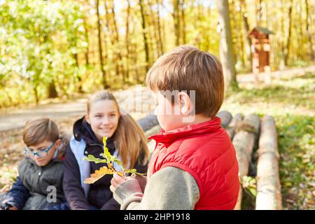 Enfants de la forêt centre de jour avec une feuille de chêne dans les leçons de sciences de l'arbre comme pédagogie de la forêt dans la forêt Banque D'Images