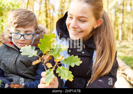 Deux enfants dans une classe scolaire avec une feuille de chêne identifiant un arbre comme une pédagogie forestière Banque D'Images