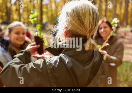 Enseignant et bénévoles avec des semis d'arbres pour le reboisement durable dans la forêt Banque D'Images