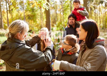 Professeur et famille avec enfants apprennent les arbres dans la forêt lors d'une visite de la forêt Banque D'Images