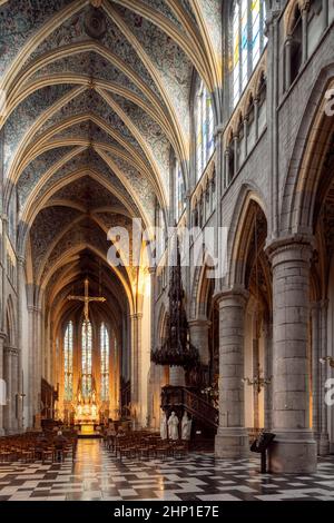 Lüttich, Saint-Pauls-Kathedrale, Sint-Pauluskathedral, Cathédrale Saint-Paul de Liège, Blick nach Osten Banque D'Images