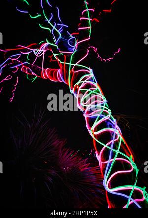 LuminoCity, Festival de lumière, Southend-on-Sea, Essex © Clarissa Debenham / Alamy Banque D'Images