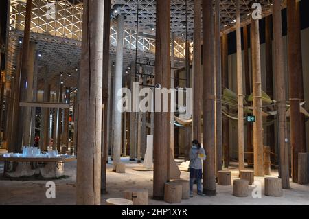 Le Pavillon de Suède « la forêt » de nuit à l'Expo 2020 Dubai Émirats Arabes Unis - 31 janvier 2022. Banque D'Images