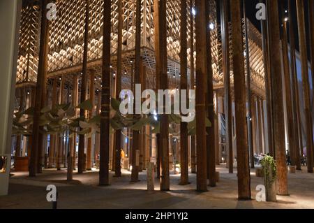 Le Pavillon de Suède « la forêt » de nuit à l'Expo 2020 Dubai Émirats Arabes Unis - 31 janvier 2022. Banque D'Images