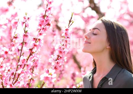 Profil d'une femme satisfaite qui sent des fleurs parfumées dans un champ Banque D'Images