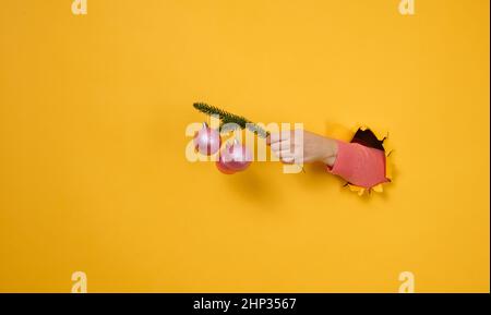 La main femelle tient une branche ronde verte d'aiguilles de pin avec des boules roses brillantes de Noël.Une partie du corps dépasse d'un trou déchiré dans un jaune Banque D'Images