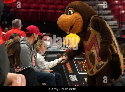 COLLEGE PARK, MD - FÉVRIER 17 : la mascotte du Maryland Testudo accueille un jeune fan et accueille un match de basket-ball de Big10 femmes entre les Terrapins du Maryland et le TH Banque D'Images