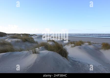 Blick von den Dünen über den Strand aufs Meer auf Langeoog Banque D'Images