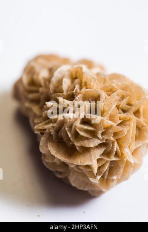 Photo détaillée du groupe de pierres minérales naturelles Desert Rose. Banque D'Images