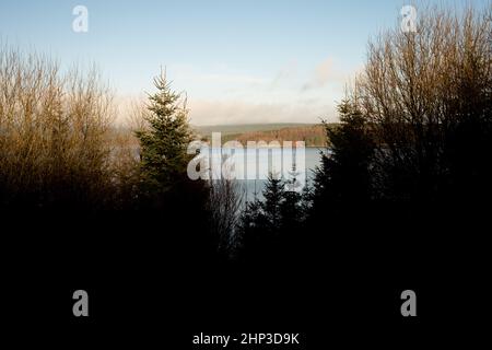 Kielder Angleterre: 11th janvier 2022: Soleil chaud brillant sur une vue sur le lac (réservoir de Kielder) avec des arbres en silhouette. Banque D'Images