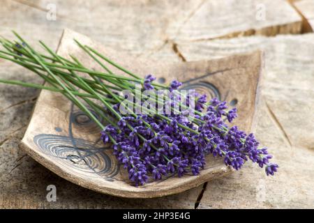 Bouquet de fleurs de lavande sur une assiette en argile Banque D'Images