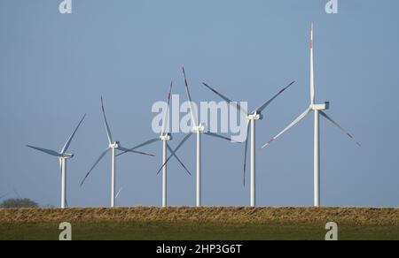 PRODUCTION - 07 février 2022, Schleswig-Holstein, Reußenköge : les éoliennes sont situées derrière une digue. Photo: Marcus Brandt/dpa Banque D'Images