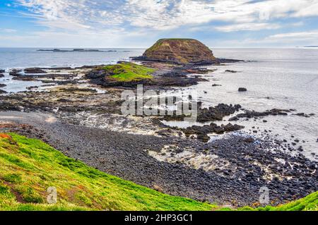 Les Nobbies à marée basse - Phillip Island, Victoria, Australie Banque D'Images