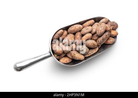 Fèves de cacao séchées dans une pelle en métal isolée sur fond blanc. Banque D'Images