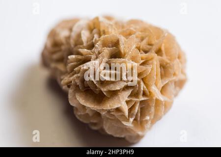 Photo détaillée du groupe de pierres minérales naturelles Desert Rose. Banque D'Images