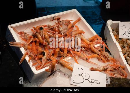 Langoustine Scampi frais à Venise Italie sur glace dans une boîte en polystyrène Banque D'Images