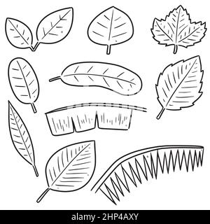 Vector set de feuilles Illustration de Vecteur