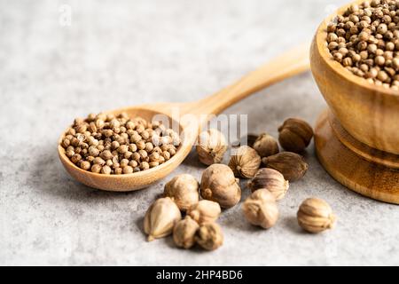 Coriandre et siam cardamome (Amomum krervanh Pierre), Asie sec épices herbe pour la drogue et la cuisine thaïlandaise pour la bonne santé. Banque D'Images