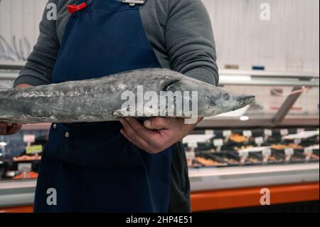 Un poissonnier mâle ou un travailleur du marché du poisson qui tient de gros poissons d'esturgeon Banque D'Images