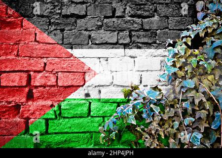 La Palestine grunge le drapeau sur le mur de brique avec l'usine de lierre, symbole de pays concept Banque D'Images