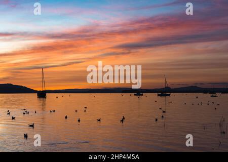 Coucher de soleil sur le lac de Constance, Allensbach, Bade-Wurtemberg, Allemagne Banque D'Images