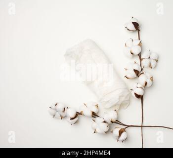 morceau de gaze blanche et un brin de fleurs de coton blanc sur la table, vue du dessus Banque D'Images