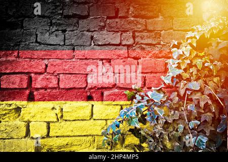 L'Allemagne grunge le drapeau sur le mur de briques avec la vue de voile de la plante du soleil, symbole de pays concept Banque D'Images