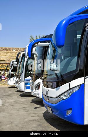 De grands bus touristiques sur le parking par beau temps. Gros plan. Louxor, Égypte - octobre 2021 Banque D'Images