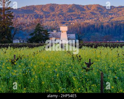 Lever du soleil sur une tour d'eau traditionnelle et des fleurs de moutarde de Napa Valley, Californie Banque D'Images