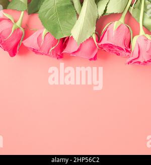 Mise en page créative composée de fleurs sur fond de papier rose pastel. Concept de ressort minimal. Pose à plat, espace de copie, mise au point douce. Banque D'Images