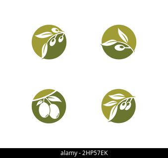 Signe vectoriel simple avec logo Olive Flat Illustration de Vecteur