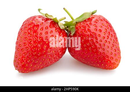 Chemin de fraises isolated on white Banque D'Images